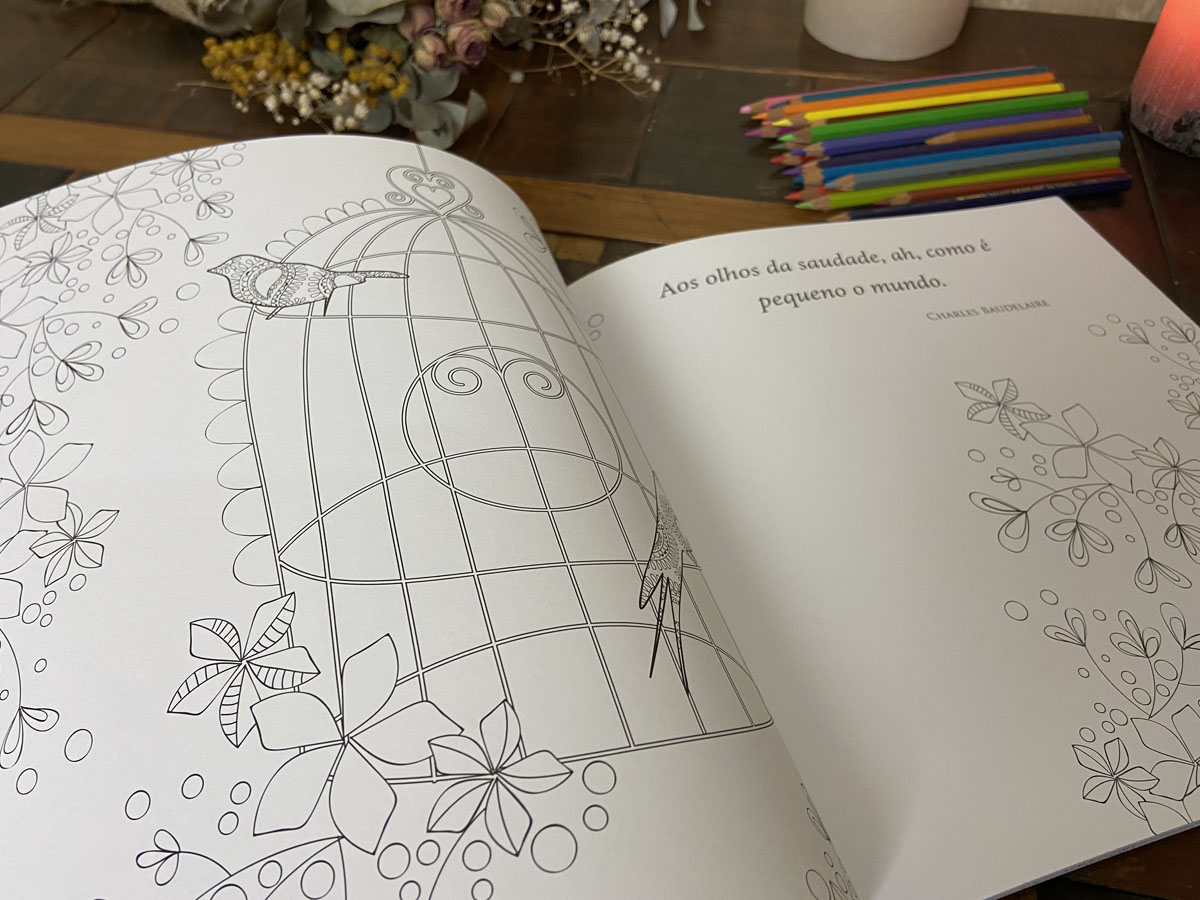 Série de Arteterapia Antiestresse: Livros de colorir para adultos